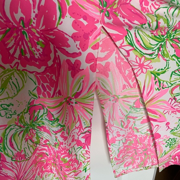 Lilly Pulitzer Carlotta Maxi Dress, size 6 - Picture 5 of 5